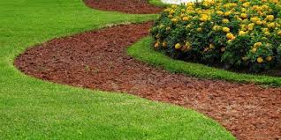 Homeowners in dunn, nc know the importance of a lush, healthy lawn. Pin On Yard Work