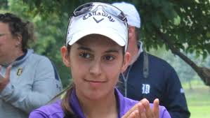 Black Hawks golfers third at D-1 state meet