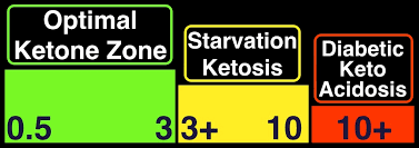 Ketones And Your Brain Metabolic Performance
