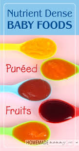 Nutrient Dense Baby Foods Pureed Fruits Homemade Mommy In 2020 Baby Food Recipes Homemade Baby Foods Homemade Baby