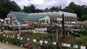 Open seasonally, eisele's nursery and garden center sells trees, plants, and shrubs that can be used to create the garden of your dreams. Contact Lake Street Garden Center Llc