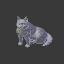 3d Cat Kedi Modeli 3d 3dmodelleme 3dmodel 3dbaski 3dprinter 3danimasyon 3dprint Gurhan Suku Kedi 3d Modelleme 3d Animasyon