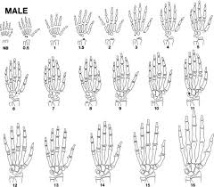 somatic growth and maturation oncohema key