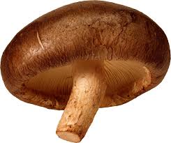 Mario Mushroom Png Shiitake Mushroom Png Transparent Background Mushroom Clipart 1176358 Vippng Mario room brown mushroom room ideas decor ideas super mario brothers beehive plush 2016 hot sales brand 18cm new super mario 3d land plush doll stuffed toy dry bones bowser koopa.