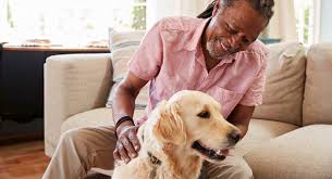 Our hospital performs in house blood work, ultrasound, radiographs, dentals, spay/neuters, mass removals, etc. Https Endhomelessness Org Wp Content Uploads 2020 03 Keeping People And Pets Together 031220 Pdf