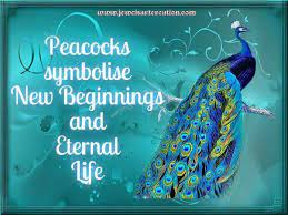 Why Am I Drawn To New Beginnings Symbols New Beginning Symbol Animal Spirit Guides Peacock Decor