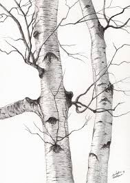 Black And White Pencil Drawings Of Trees Two Wild Birch Trees In Watercolor Dessin Arbre Arbres En Aquarelle Arbres Peints