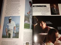 Image result for Saffron Yellow 1986 Hertz