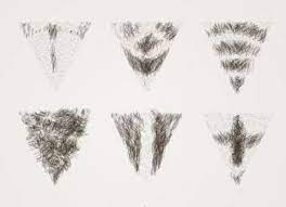 Learning about the different haircut names for men is the best way to ensure you get a good haircut every time you visit the barbershop. Pubic Hair Design For Men Several Styles To Pick From Imanscape