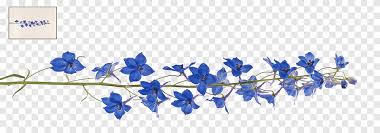 We did not find results for: Unrestricted Flower 12 Ilustrasi Bunga Biru Png Pngegg