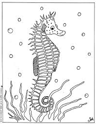 Showing 12 colouring pages related to seahorses. Seahorse Coloring Pages For Kids Coloring Home
