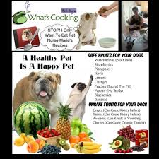 I Love This List Of Fruits My Dog Can Eat Fruits For Dogs Fruit List Healthy Pets