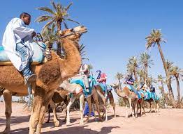 Before hitting the rough road, you could read these tips for quad biking in. Half Day Trip Camel Ride And Quad Bike Activities In Marrakech 2021 Happytovisit Com