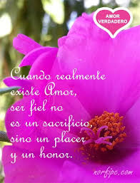 Frases Para Explicarle Mi Amor Verdadero Bueno Y Sincero Frases De Amor Imagenes Del Verdadero Amor Amor
