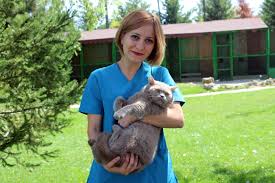 Pet Shoplari Kiskandiran Hayvan Dostu Barinak