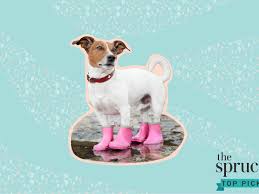 Tim ashman general contractor cell: The 6 Best Dog Boots Of 2021
