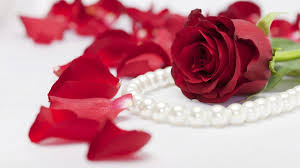 red rose wallpaper download malayalam anniversary quotes for husband 100003 hd wallpaper backgrounds download red rose wallpaper download malayalam