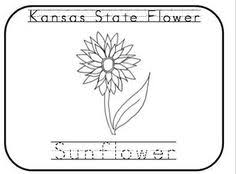 Color the sunflower yellow with a green and yellow center. 170 Kansas Day Ideas Kansas Day Kansas Pioneer Activities