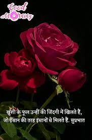 Pin By Arpita Jain On Hindi Quotes And Shayari Beautiful Rose Flowers Beautiful Roses Flower Photos