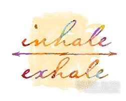 We did not find results for: Yoga Inhale Exhale Sun Colors Small Yoga Wall Etsy