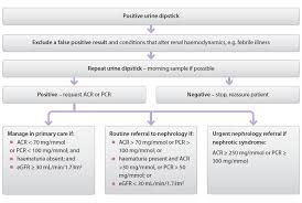 Interpreting Urine Dipstick Tests In Adults Best Tests