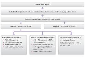 interpreting urine dipstick tests in adults best tests