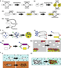 Maybe you would like to learn more about one of these? Potential Origins Of Mutualism And Cooperation Yellow Indicates Download Scientific Diagram