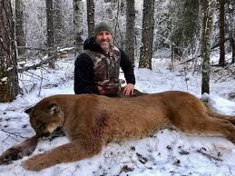 This may not be an oddity so much as a hoax. Online Outrage After Canadian Tv Host Kills Cougar In Northern Alberta Cbc News
