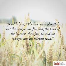 Bible verses about serving therefore, my beloved brothers, be steadfast, immovable, always abounding in the work of the lord, knowing that in the lord your labor is not in vain. Great Mission Trip Bible Verses Leadertreks Youth Ministry Blog