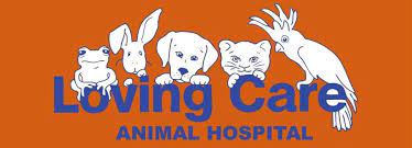 Duncan had a cyst in difficult location and she did a great job of removing it and making sure we had everything we needed to quickly get back on the road to recovery. Loving Care Animal Hospital Home Facebook