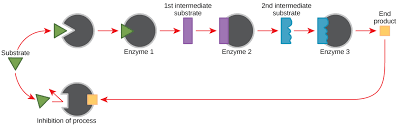 Generally, biochemical reactions occur as a series of reactions. Feedback Inhibition In Metabolic Pathways By Openstax Page 8 31 Jobilize