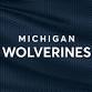 Indiana Hoosiers at Michigan Wolverines Baseball
