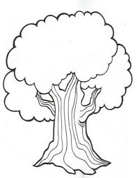 Arboles Para Colorear