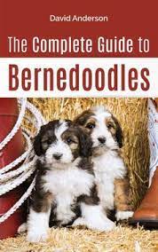 View our selection of tips and recommended grooming when grooming your australian labradoodle's body, the first tool that you should use is a slicker brush. Sobet Divan Sobediva Profile Pinterest