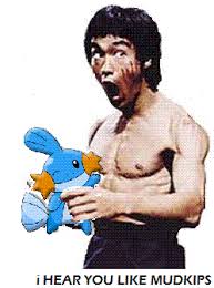 Mudkip Desciclopedia