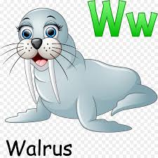 Maybe you would like to learn more about one of these? Walrus Kartun Gambar Gambar Png