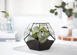 Glass Terrarium Geometric Container Geometric Planter Indoor Etsy Geometric Terrarium Geometric Planter Terrarium Plants