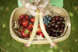 Fruits Of The Spirit Food Food Source Fruit