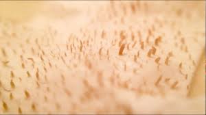 pore strips are a type of skin care product designed to remove clogs from pores caused by oil buildup. Biore Pore Strip Removal Up Close Youtube