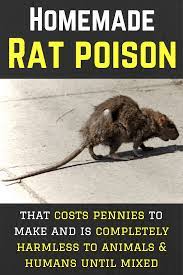 Try This Homemade Rat Poison Recipe Just 3 Ingredients In 2021 Homemade Rat Poison Rat Poison Rats