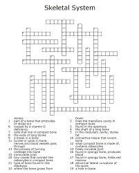 Quiz facts quiz daily answers. Skeletal System 18 19 20 Fat Across 1 Part Of A Bone Chegg Com