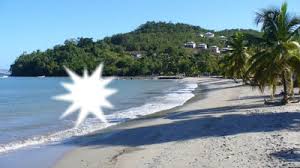A l'extrême sud de la martinique, la plage des salines est considérée comme la plus belle de l'île relativement calme en semaine, la plage des salines est très fréquentée par les martiniquais qui. Fotomontage Plage De Martinique Pixiz