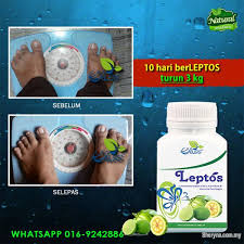 ✘ 100% daripada tumbuh tumbuhan berkesan untuk menurunkan berat badan produk yang selamat di gunakan dan standard penyulingan yang di luluskan. Leptos Ubat Kurus Berkesan Ipoh Perak Photo 6
