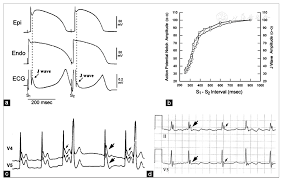 Image result for J Wave