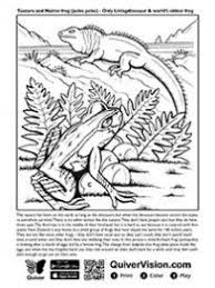 Available quiver coloring pages include: 57 Quiver Ideas Kolorowanki Plastyka Programowanie