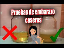 12 Primeros Sintomas De Embarazo Antes Del Retraso Menstrual Click Aqui Https Y Prueba De Embarazo Casera Prueba De Embarazo Prueba De Embarazo Positiva