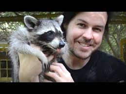 Pin On Animals