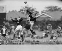 schell stock photos, images, pictures