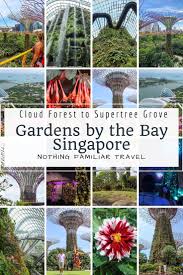 Gardens By The Bay Singapore Cloud Forest To Supertree Grove Gardens By The Bay Asia Travel Travel Destinations Asia