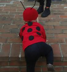 February 28, 2020 by mandy. Diy Halloween Costumes Cute Little Ladybug Super Mom Hacks